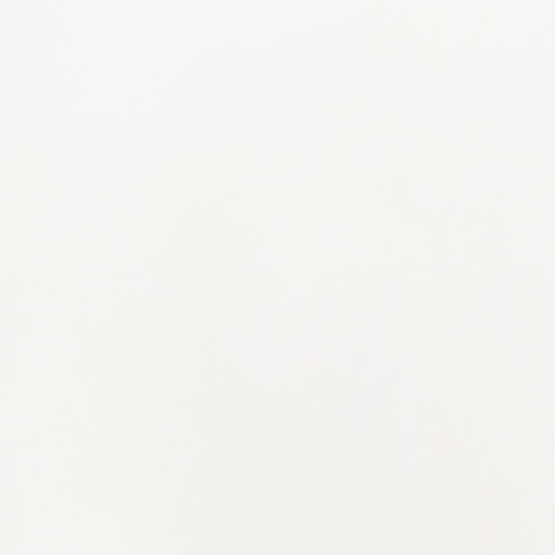 Lacquered White J4