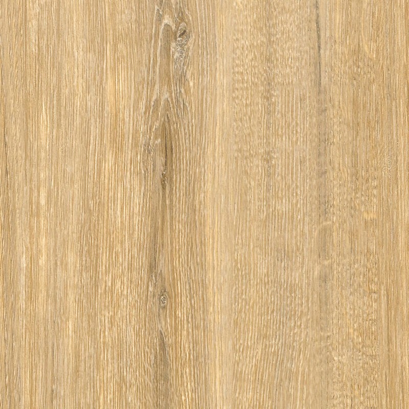 Bumpy Oak CT82