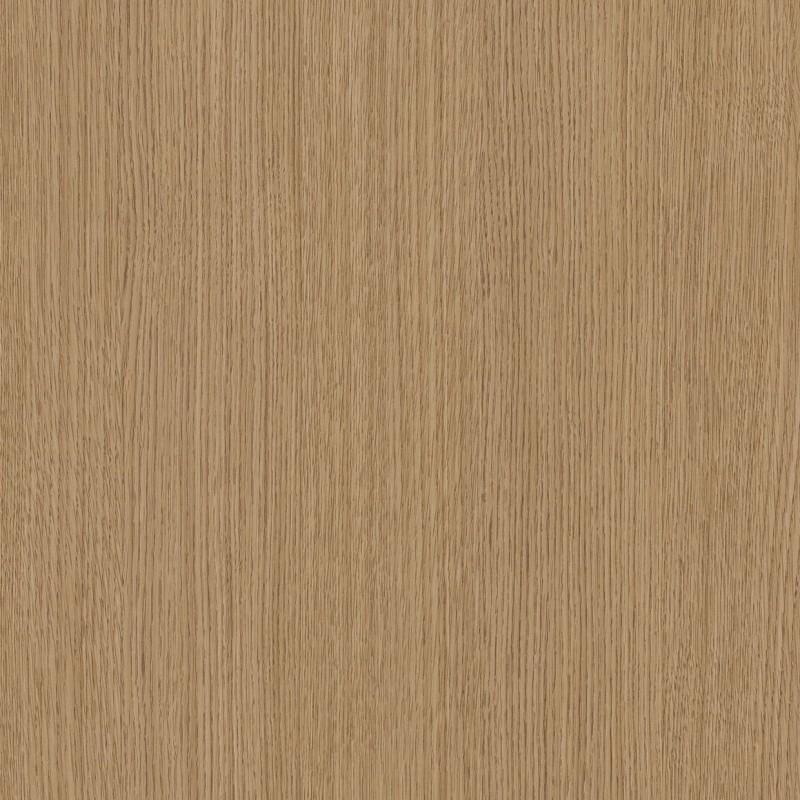 Cashew Beech B6