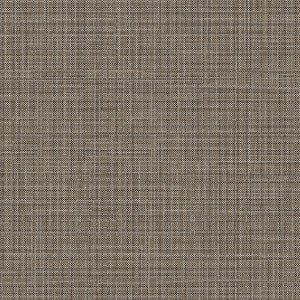 Silver & Brown Lined NE37