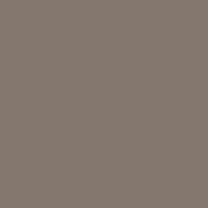 Matt Grey mink EXT-Z13