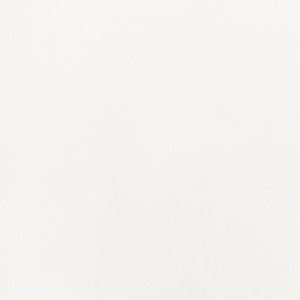 Lacquered white HR-J4